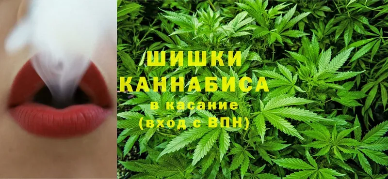 Конопля Amnesia  купить закладку  Алексеевка 